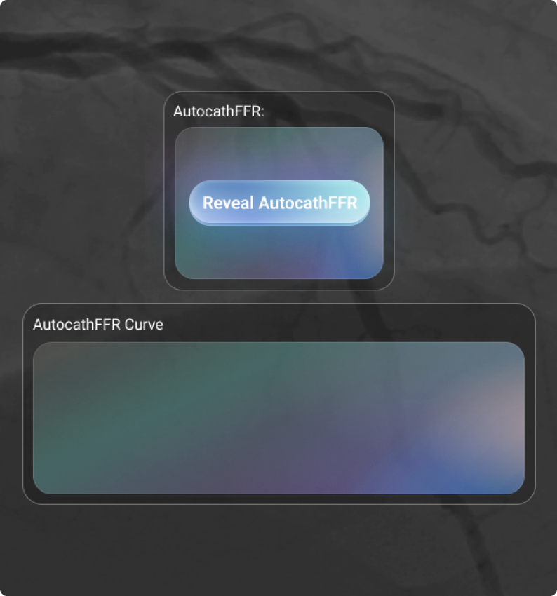 AutocathFFR reveal detail